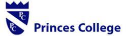 логотип Princes College 