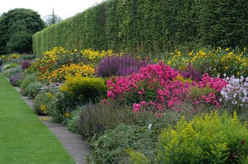 	Royal Botanic Garden: Edinburgh, Arboretum Pl, Edinburgh EH3 5NZ 